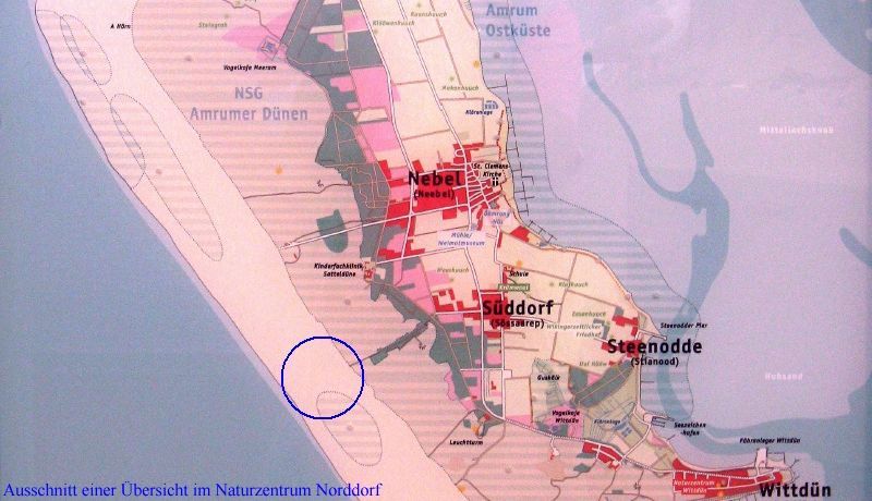 Amrum Bilder Kniepsand
