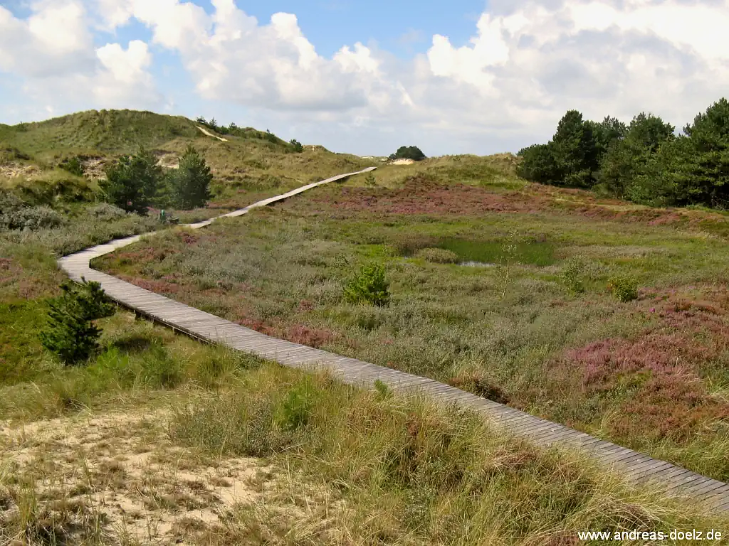 Bohlenwege Wittdün Amrum Bild38