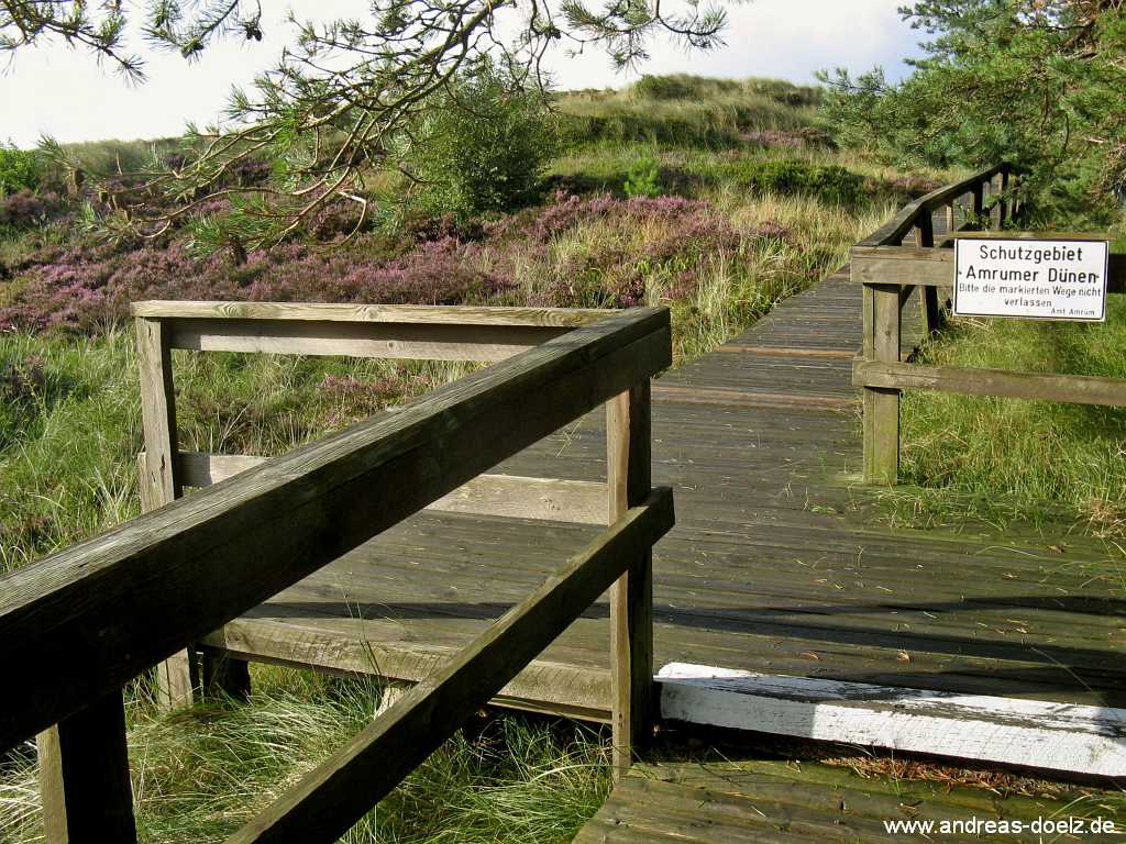 Bohlenweg Wittdün Bild02 Bohlenwege Wittdün Amrum Bild02