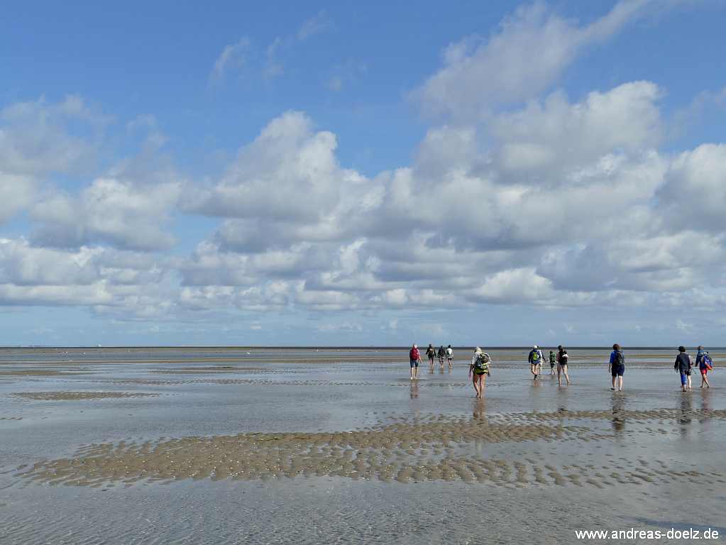 Unterwegs mit Nationalpark-Wattf&uuml;hrer Dark Blome auf dem Sandwatt zwischen Amrum und F&ouml;hr
