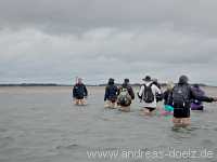 Kormoraninsel Kormoraninsel Wattwanderung F&ouml;hr Norddorf Amrum Bild17