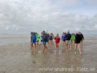 Kormoraninsel Kormoraninsel Wattwanderung F&ouml;hr Norddorf Amrum Bild18