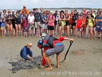 Kormoraninsel Kormoraninsel Wattwanderung F&ouml;hr Norddorf Amrum Bild30