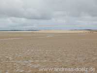 Kormoraninsel Kormoraninsel Wattwanderung F&ouml;hr Norddorf Amrum Bild48