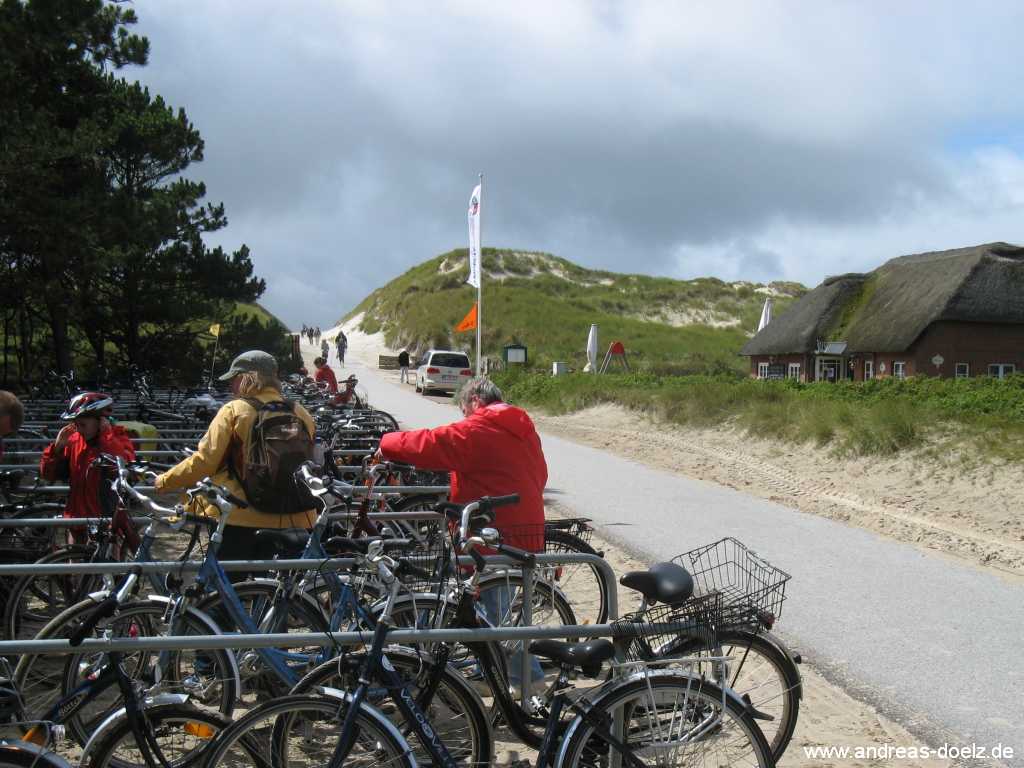 Fahrrad Amrum Urlaub Insel erkunden Bild08