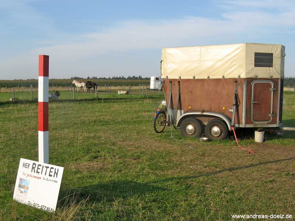 Reiten im Urlaub auf Amrum Bild02 Wattwanderung zur Kormoran-Insel von Amrum aus Bild02