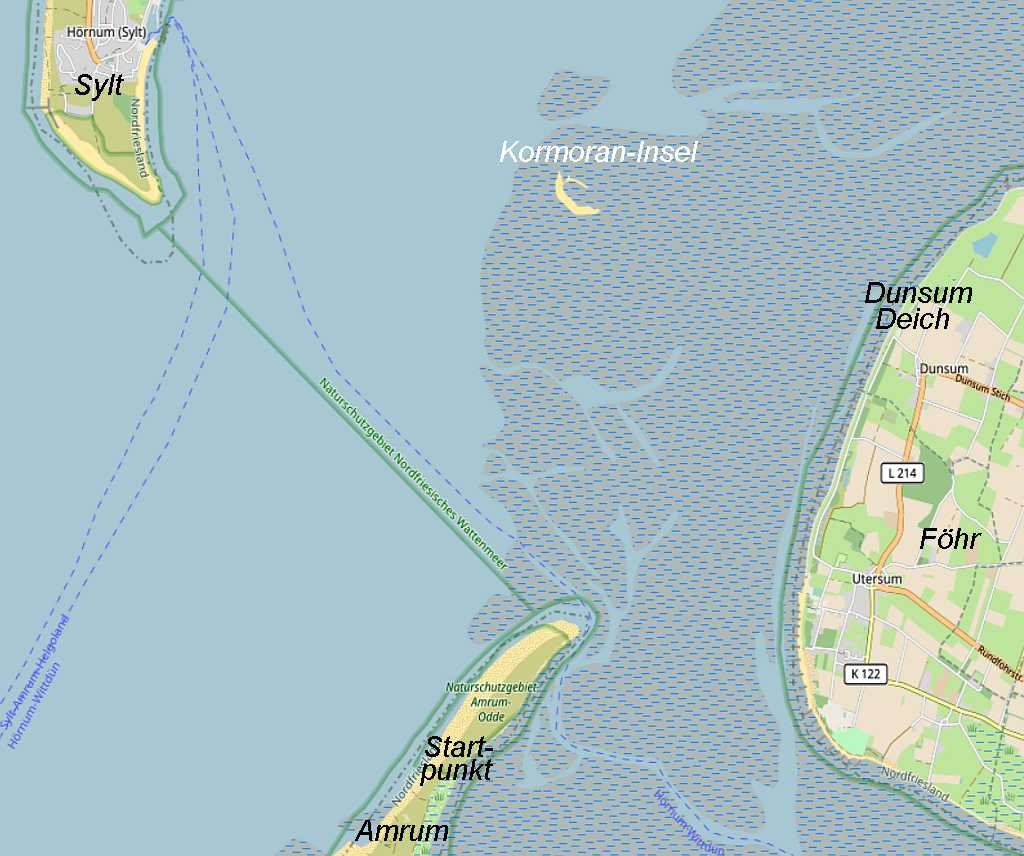 Kartenausschnitt Wattwanderung zur Kormoraninsel von Amrum aus