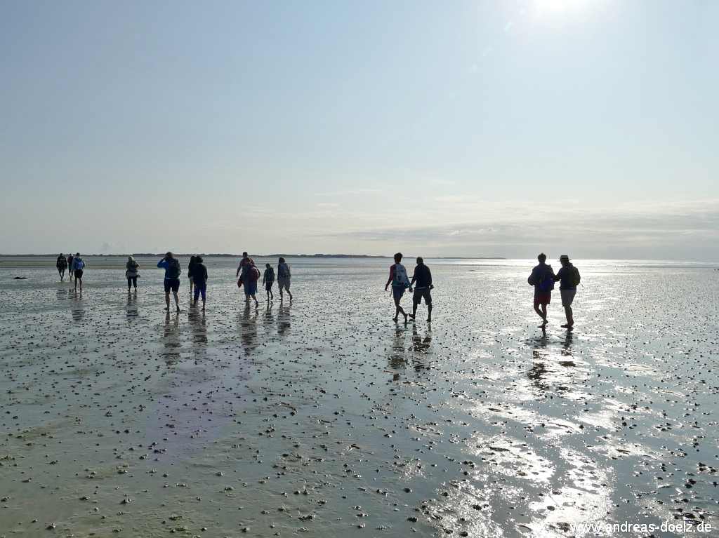 Wattwanderung zur Kormoraninsel von Amrum aus: Traumhafter Weg &uuml;ber das Sandwatt im Gegenlicht zum Priel Mittelloch