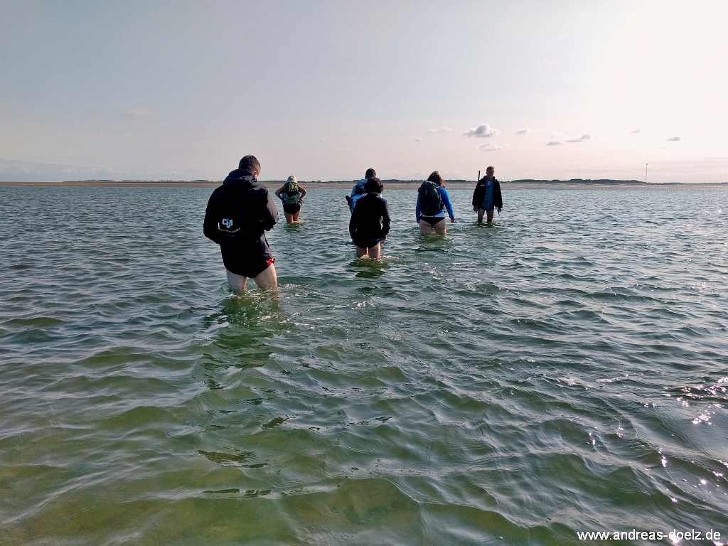 Wattwanderung zur Kormoraninsel von Amrum aus: Die Durchquerung des Priels Mittelloch im Watt zwischen Amrum und F&ouml;hr