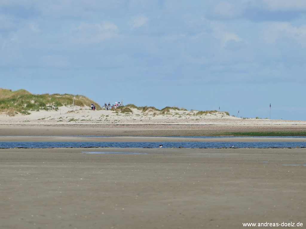 Wattwanderung zur Kormoraninsel von Amrum aus:  Blick vom Watt hin&uuml;ber zur Nordspitze von Amrum und zum Aussichtspunkt an der Odde. 