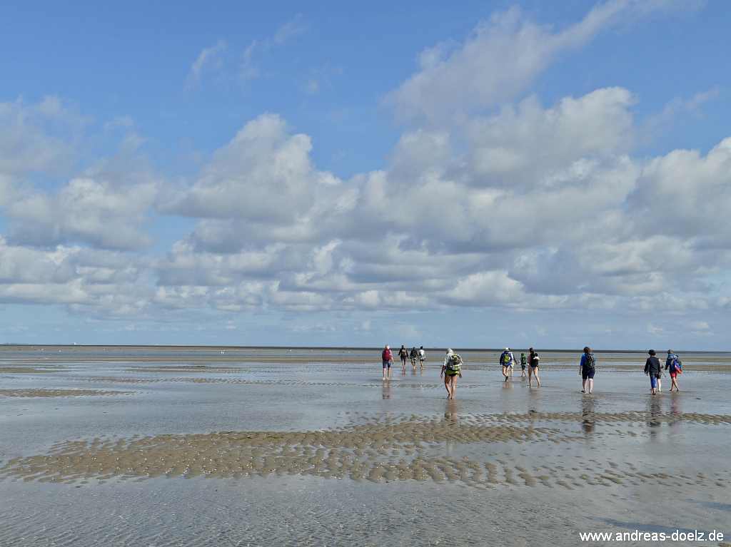 Wattwanderung zur Kormoraninsel von Amrum aus Amrum: Der Weg &uuml;ber das Sandwatt zur Kormoraninsel ist einfach herrlich!