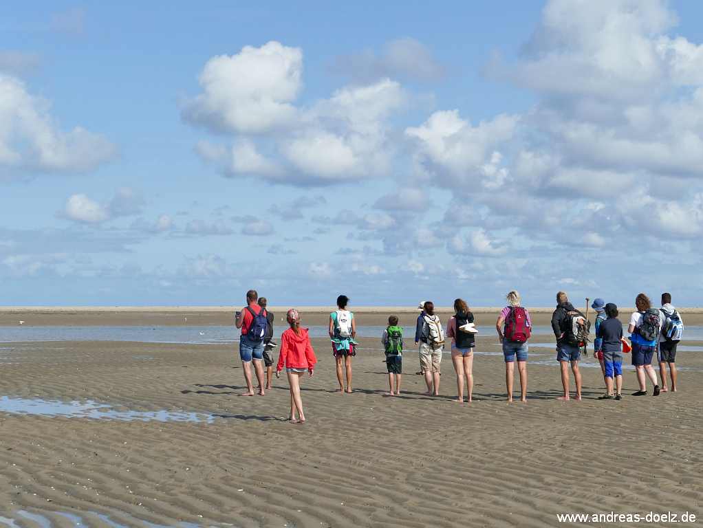 Wattwanderung zur Kormoraninsel von Amrum aus:  Auf dem Weg &uuml;ber das Sandwatt ist die Kormoraninsel als hellbraunes Band am Horizont zu sehen.