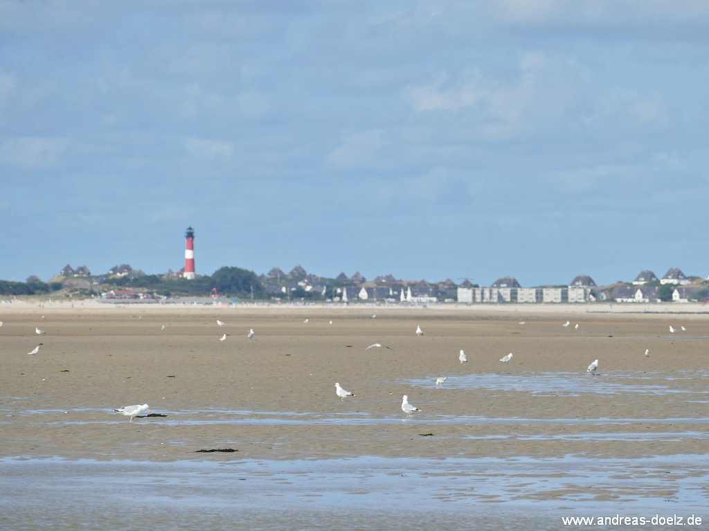 Wattwanderung zur Kormoraninsel von Amrum aus:  Blick vom Watt nach Sylt in der Ferne mit dem Leuchtturm von H&ouml;rnum.
