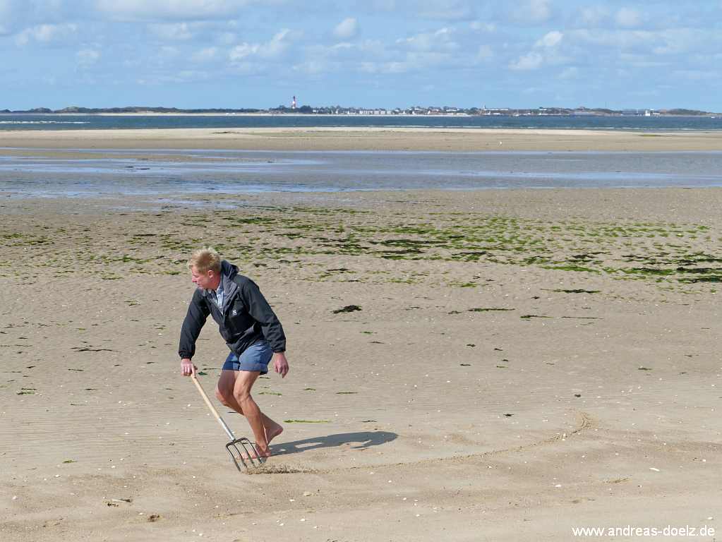 Wattwanderung zur Kormoraninsel von Amrum aus: Fachkundige Erl&auml;uterungen von Dark Blome zur Kormoraninsel und zum Entstehen von Ebbe und Flut an der Nordsee