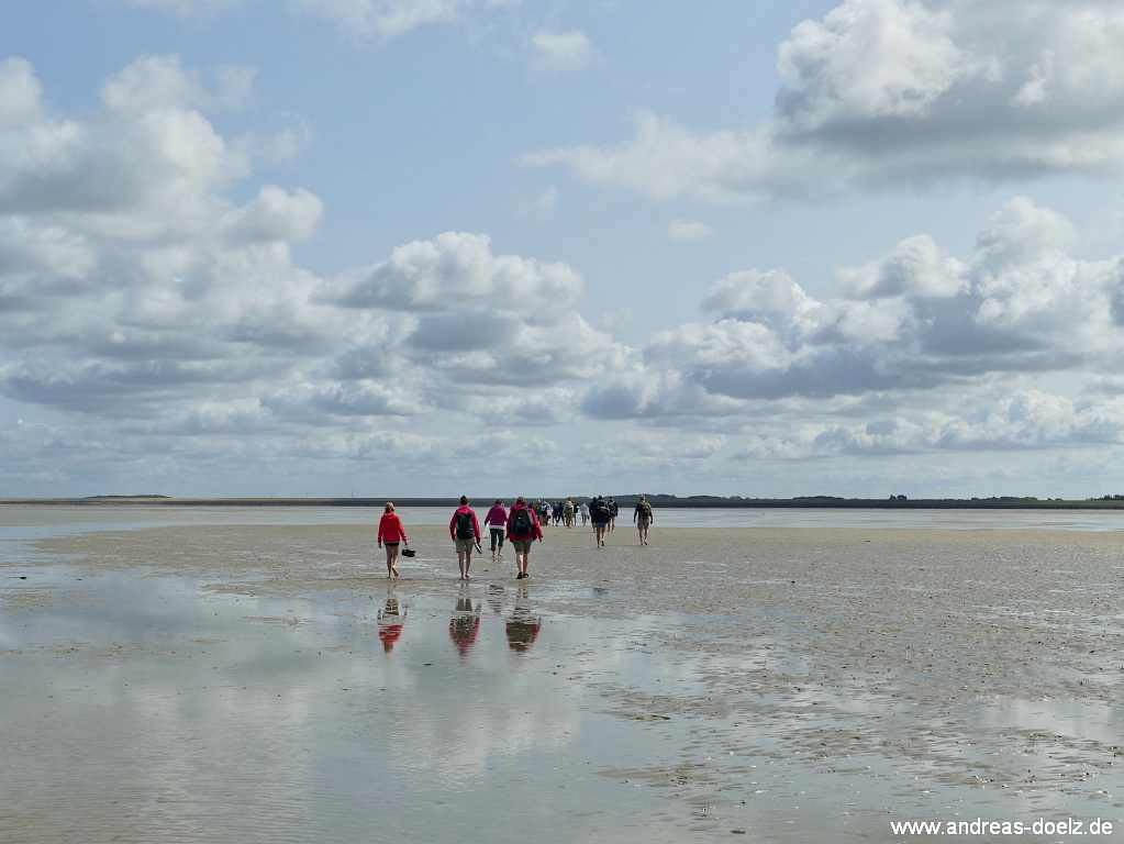 Wattwanderung zur Kormoraninsel von Amrum aus: Auf dem R&uuml;ckweg von der Kormoraninsel nach F&ouml;hr ist der Deich von Dunsum schon bald zu sehen.