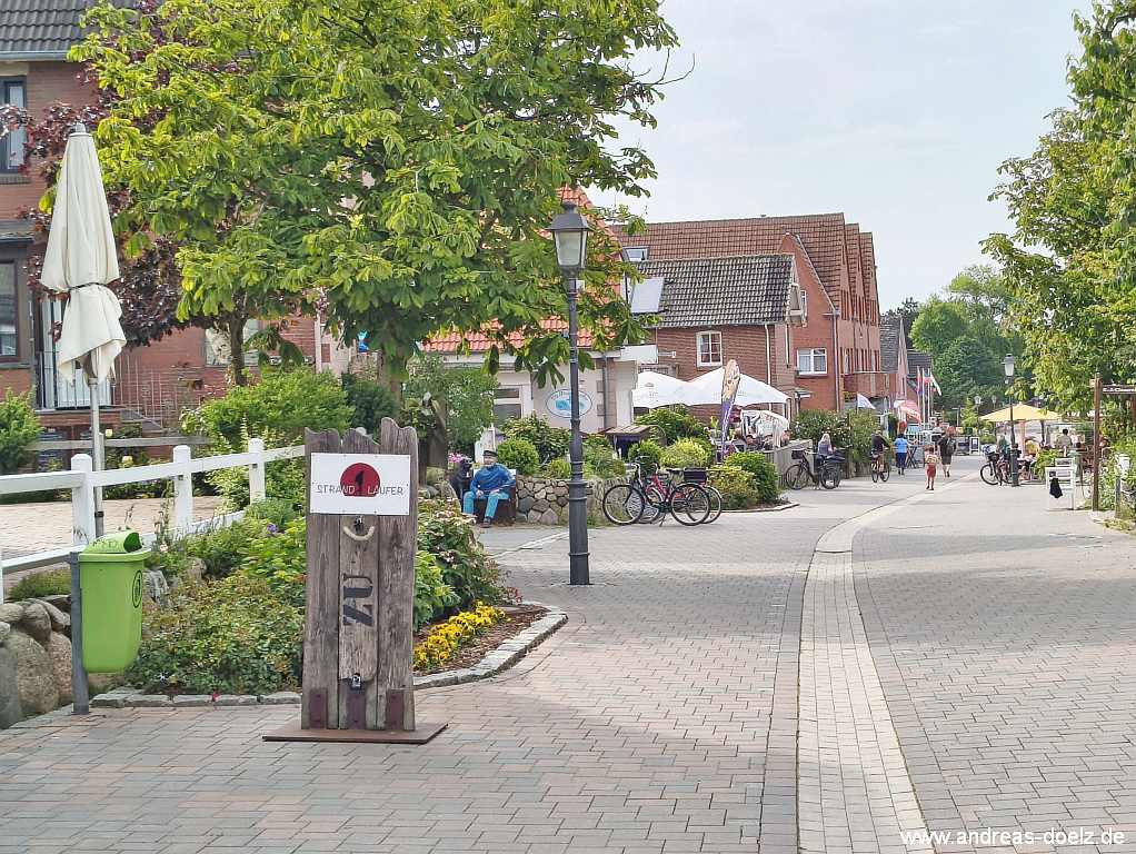 Wattwanderung zur Kormoraninsel von Amrum aus Amrum Bild50