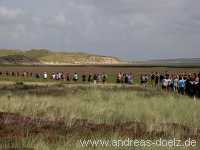 Wattwanderung Amrum Föhr Bild02