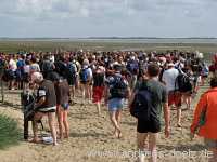 Wattwanderung Amrum Föhr Bild03