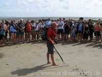 Wattwanderung Amrum Föhr Bild05