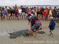 Wattwanderung Amrum Föhr Bild19