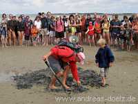 Wattwanderung Amrum Föhr Bild20