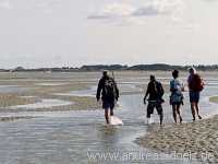 Wattwanderung Amrum Föhr Bild26