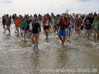 Wattwanderung Amrum Föhr Bild33