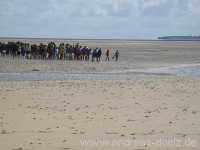 Wattwanderung Amrum Föhr Bild51