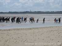 Wattwanderung Amrum Föhr Bild54