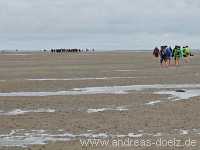 Wattwanderung Amrum F&ouml;hr Amrum Bild59