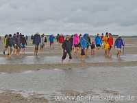 Wattwanderung Amrum F&ouml;hr Amrum Bild60