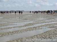 Wattwanderung Amrum F&ouml;hr Amrum Bild61