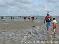 Wattwanderung Amrum F&ouml;hr Amrum Bild63