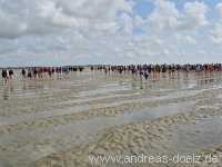 Wattwanderung Amrum F&ouml;hr Amrum Bild65
