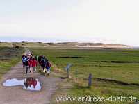 Kormoran-Insel Kormoran-Insel Wattwanderung Föhr Norddorf Amrum Bild08