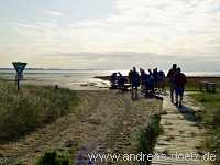 Kormoran-Insel Kormoran-Insel Wattwanderung Föhr Norddorf Amrum Bild11