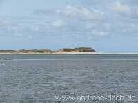 Kormoran-Insel Kormoran-Insel Wattwanderung Föhr Norddorf Amrum Bild32