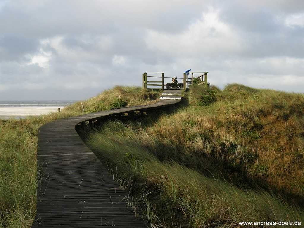 Bohlenweg Wittdün Bild03 Bohlenwege Wittdün Amrum Bild03