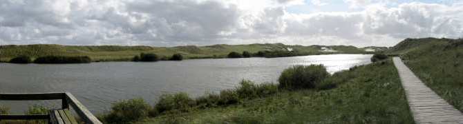panorama