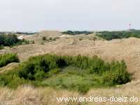 Dünen-Täler auf Amrum Feuchtgebiete Bild01