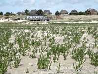 Seeheilbad Wittd&uuml;n Amrum Bild21