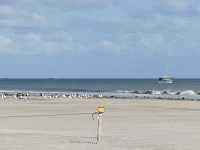 Kniephaken Wittd&uuml;n Amrum Bild33