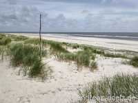 Kniephaken Wittd&uuml;n Amrum Bild34