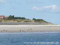 Kniephaken Wittd&uuml;n Amrum Bild49