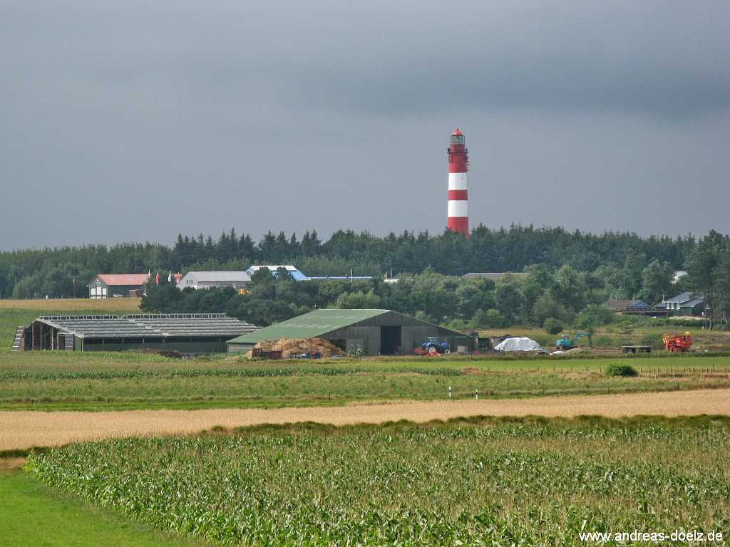 Bohlenweg Qermarkenfeuer Amrum Amrum Bild02