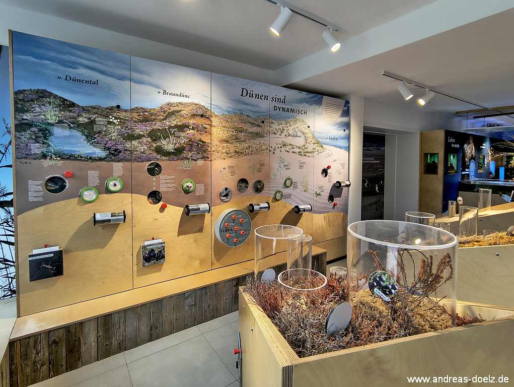 Blick in den Ausstellungsraum der Natour-D&uuml;ne, multimediale Darstellung der D&uuml;nenentwicklung