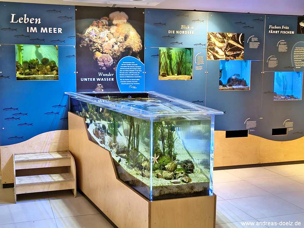 Auarien mit Meerestieren im Ausstellungsraum des Nationalpark-Haus NaTour-D&uuml;ne in Wittd&uuml;n