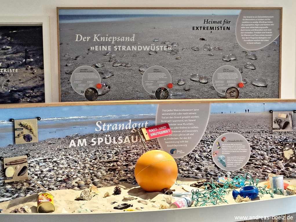 Station zum Kniepsand in der Natour-D&uuml;ne und was am Sp&uuml;lsaum alles zu finden ist und f&uuml;r de Tierwelt gef&auml;hrlich werden kann.