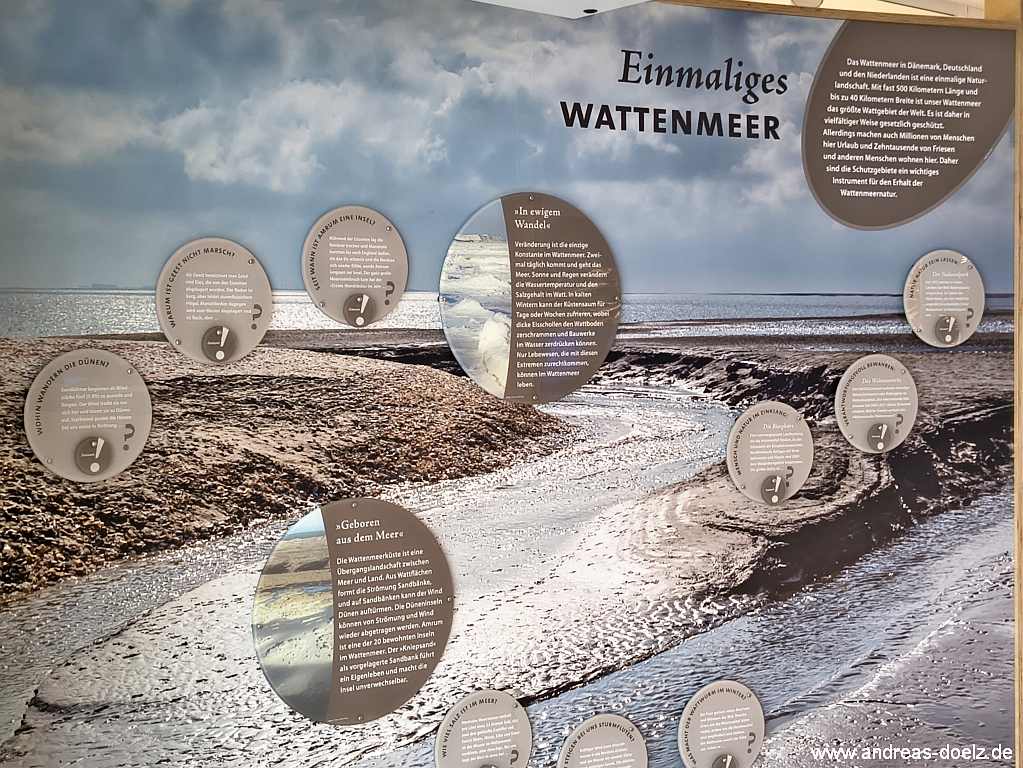 Station im Ausstellungsraum der Natour-D&uuml;ne in Wittd&uuml;n zu den Eigenarten und Besonderheiten des Wattenmeer