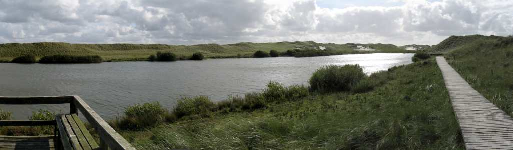 panorama